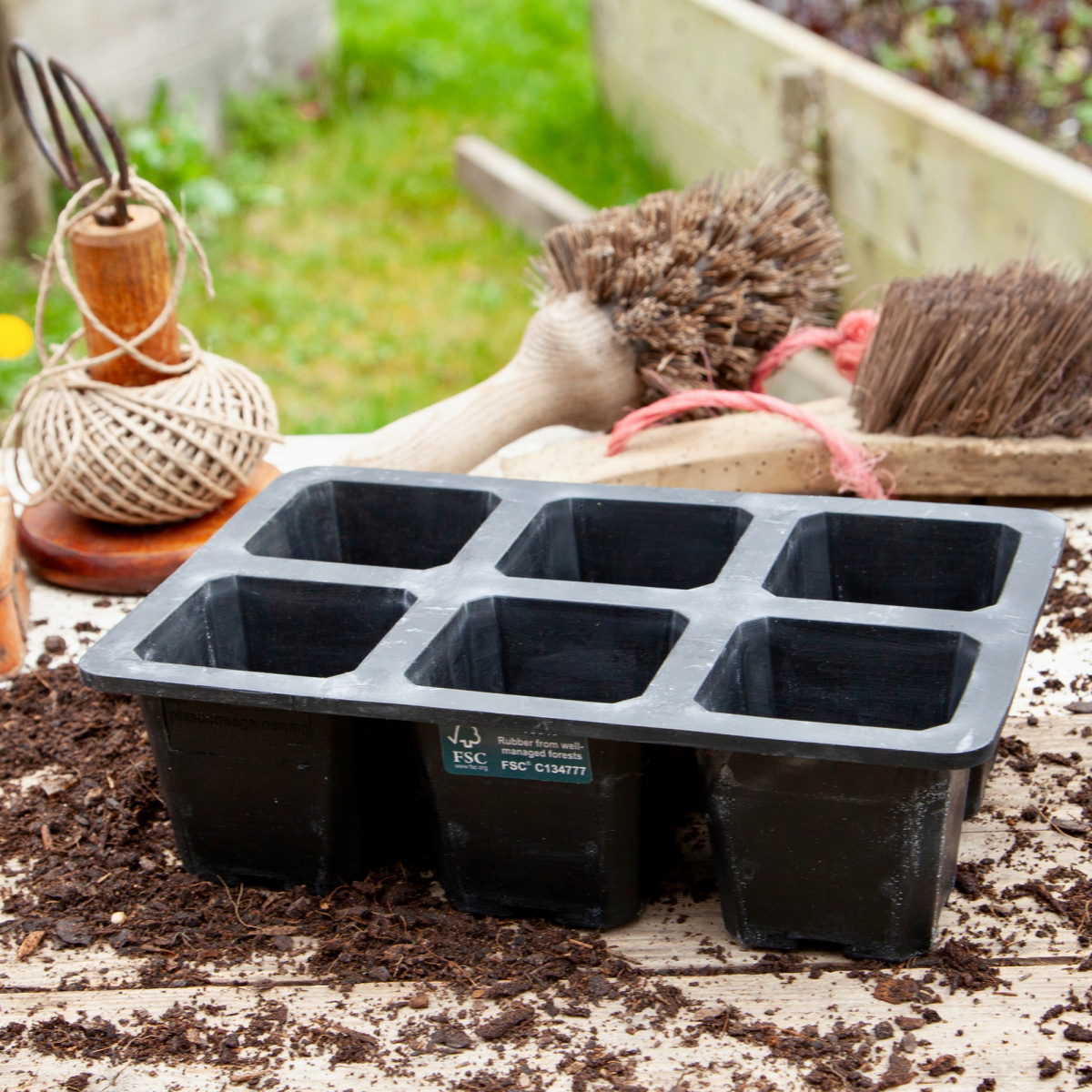 Plateau de germination Wildlife World en caoutchouc naturel - 6
