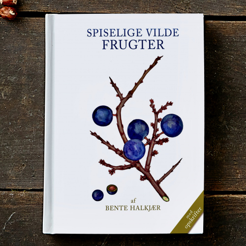 Koustrups kleine witte - Eetbare wilde vruchten