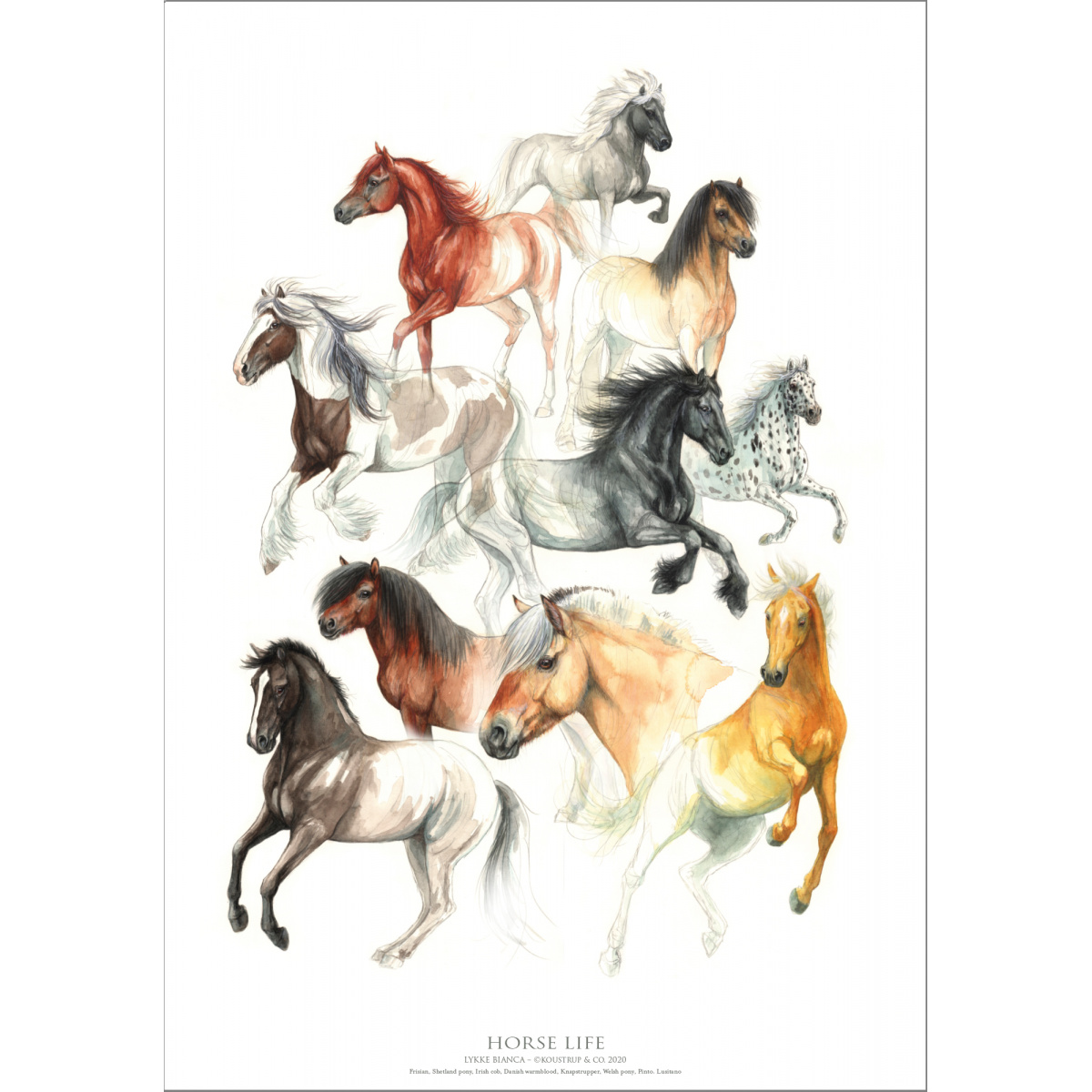 Koustrup Poster – Pferde, A2