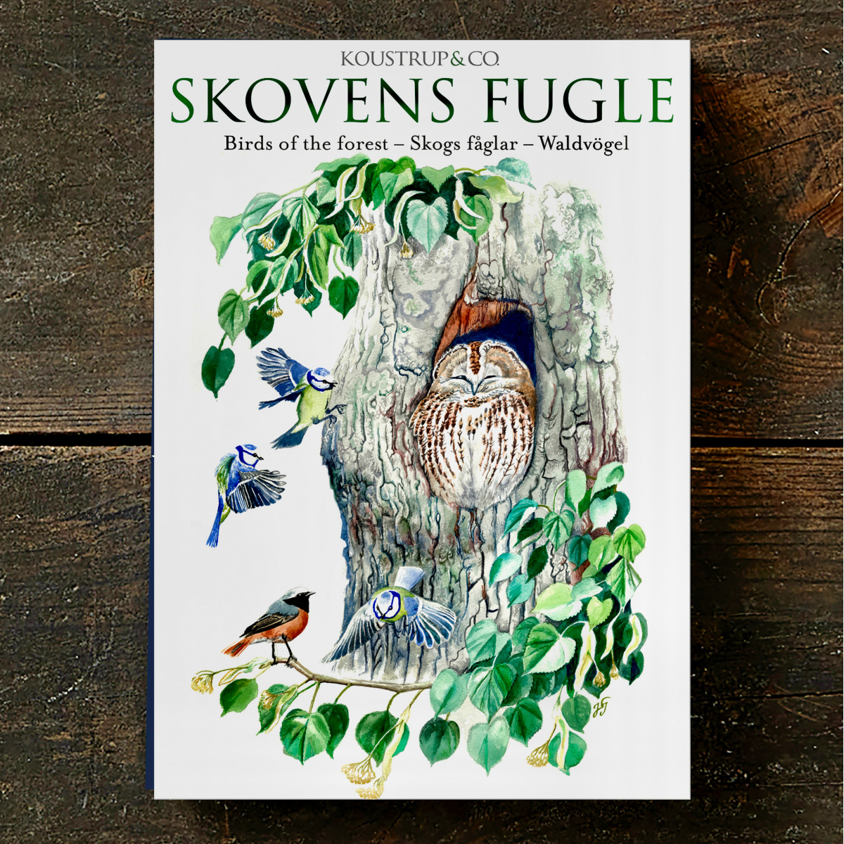 Koustrup & Co. Kartenmappe - Vögel des Waldes
