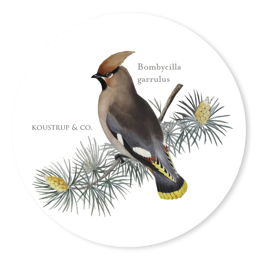 Koustrup & Co. coasters - birds in conifers - Image 4