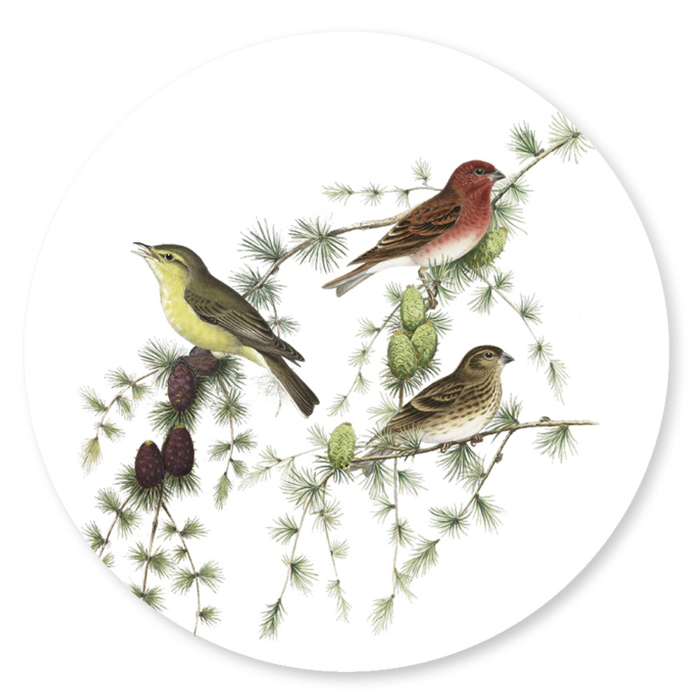 Koustrup & Co. coasters - birds in conifers - Image 3
