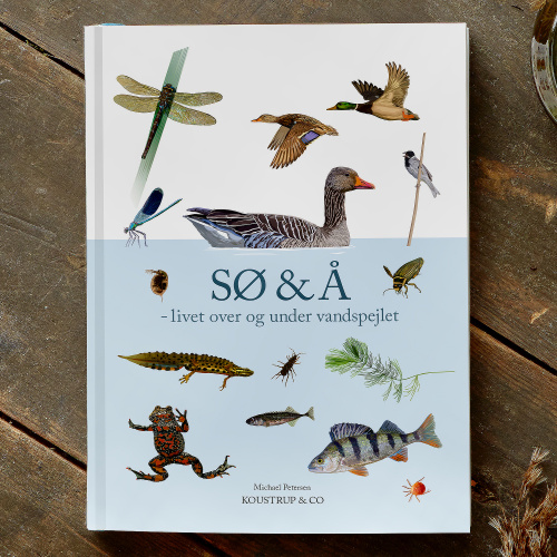 Sjö & Å – från Koustrup & Co.