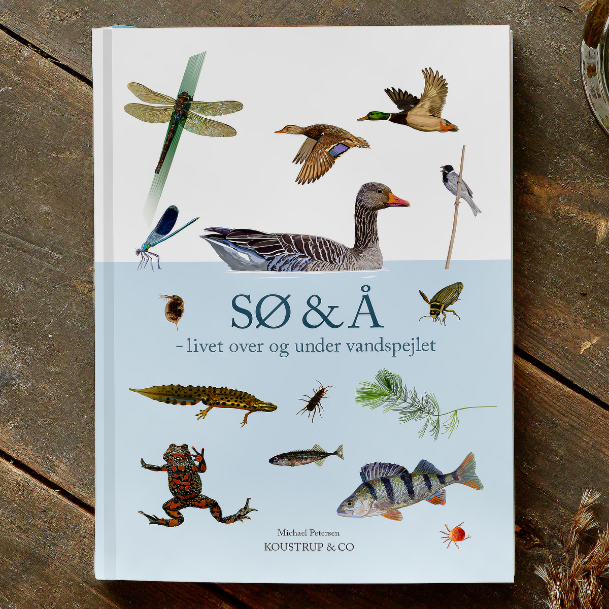 See & Fluss – von Koustrup & Co.
