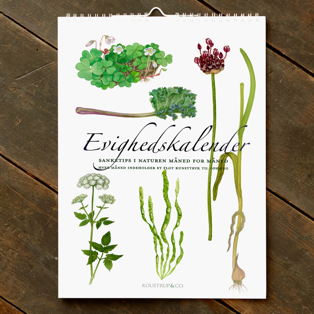 Koustrup & Co. Dauerkalender - Sammeltipps