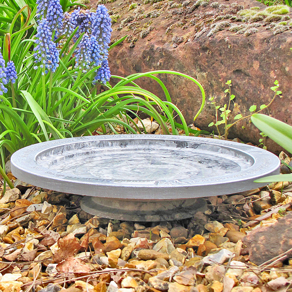 Bain d’oiseaux Wildlife World - Image 4