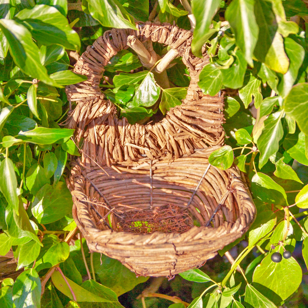 Wildlife World vogelnest voor merels - Afbeelding 2