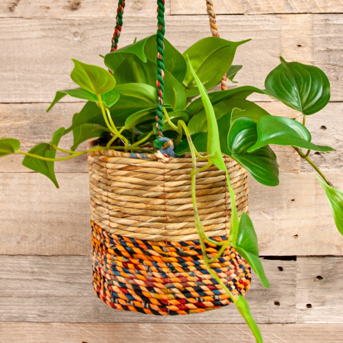 Pot de fleurs suspendu Wildlife World - moyen