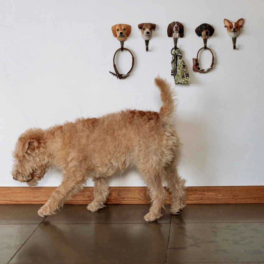 Wildlife Garden hook - Springer Spaniel - Image 6