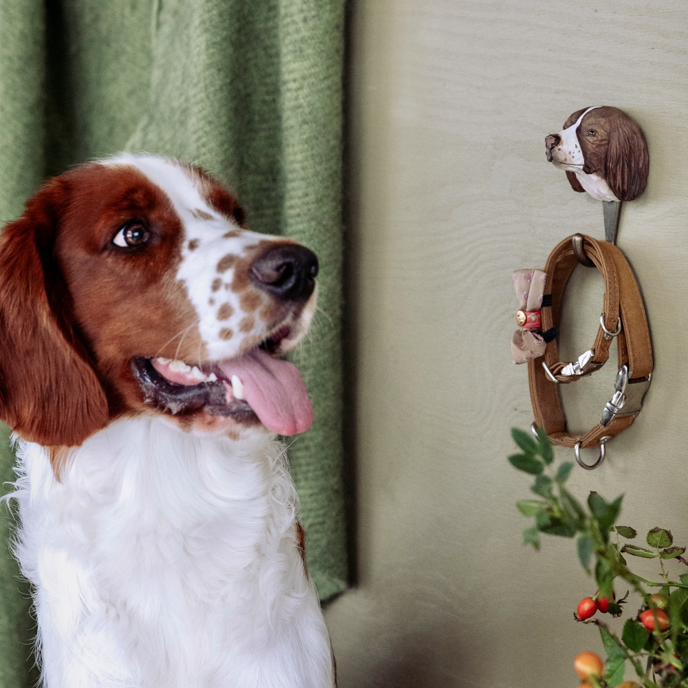 Wildlife Garden hook - Springer Spaniel - Image 5