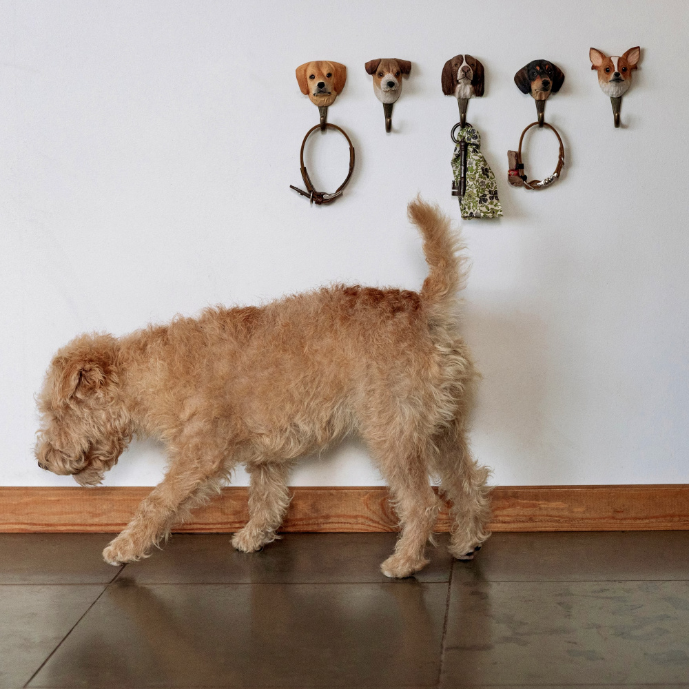 Wildlife Garden hook - Jack Russell Terrier - Image 7