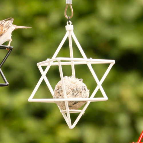 Wildlife Garden ster voor mezenbol - wit