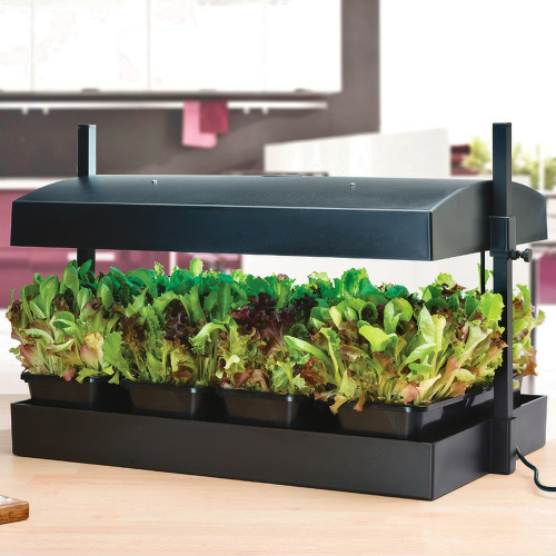 Garland grow system with LED, large - black