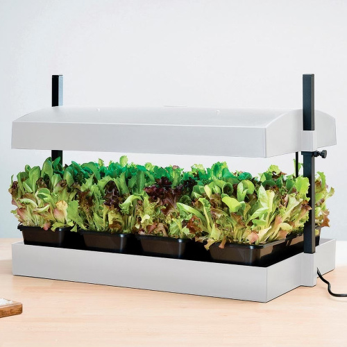Garland Anzuchtsystem mit LED, groß - weiß