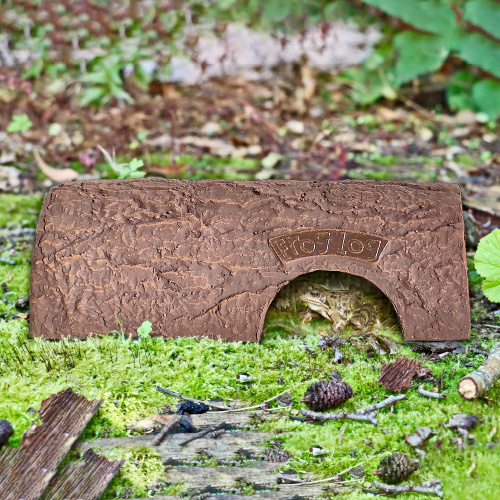 Wildlife World boomstam voor kikkers