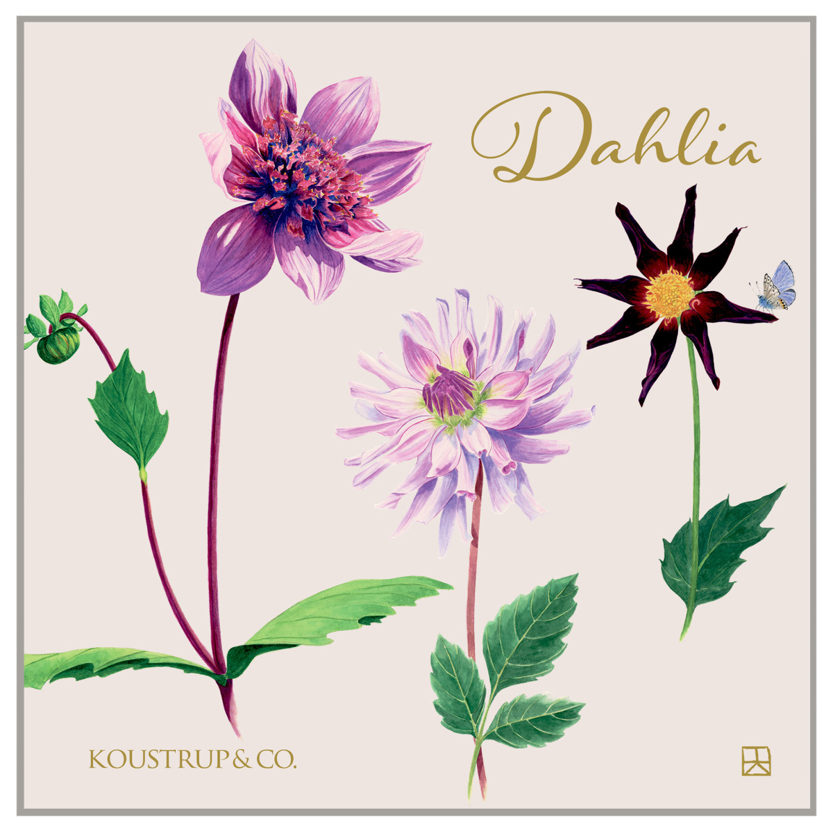 Koustrup & Co. Kartenmappe - Dahlie