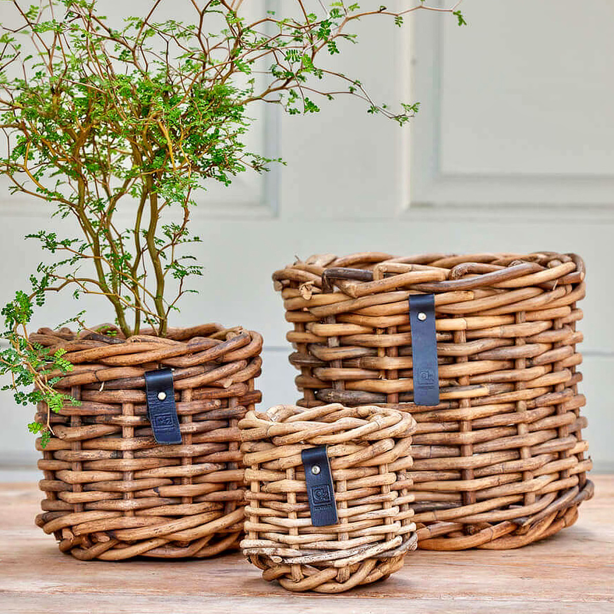 Cache-pots en rotin A2 Living, 3 pièces