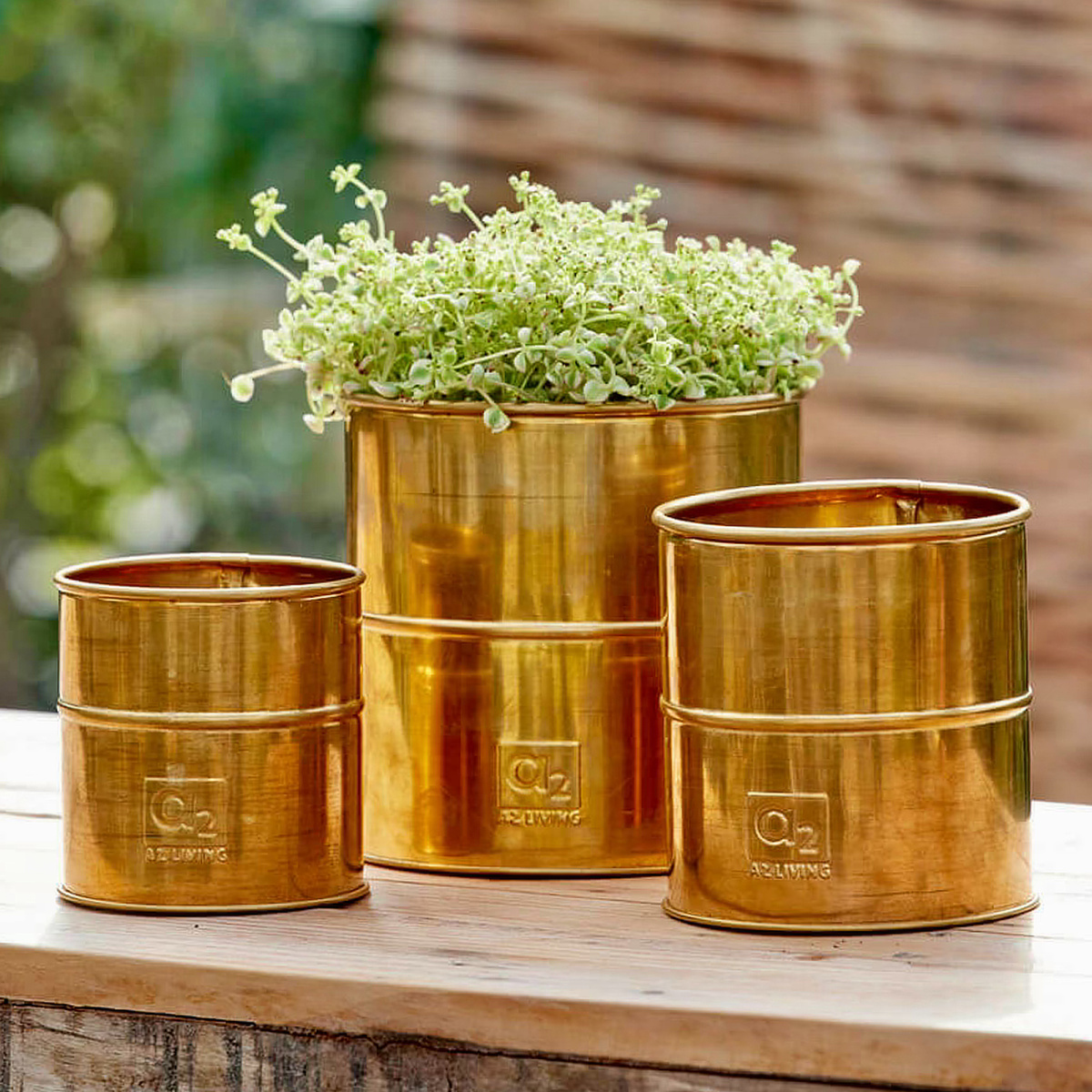 Pots de fleurs A2 Living, 3 pièces - laiton véritable