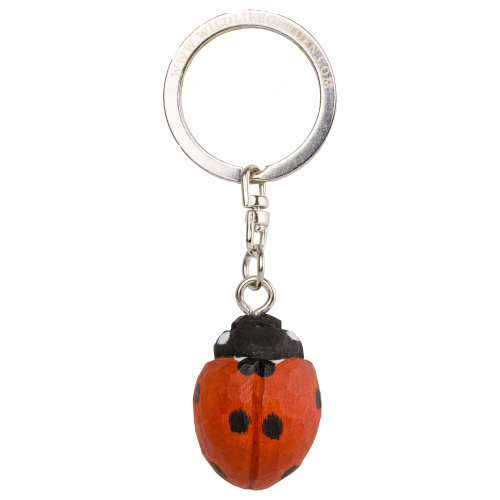 Wildlife Garden keyring - ladybird