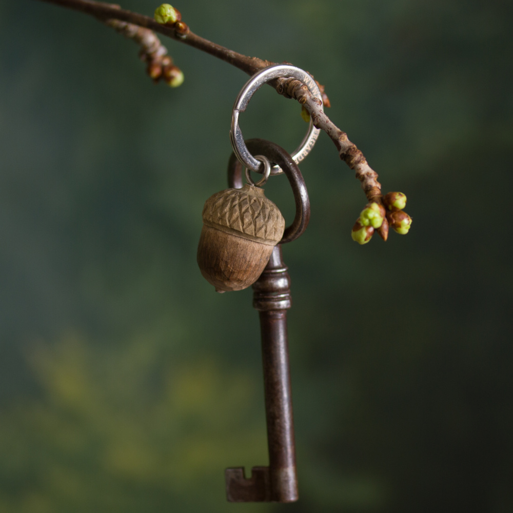 Wildlife Garden nøglering - agern - Billede 4