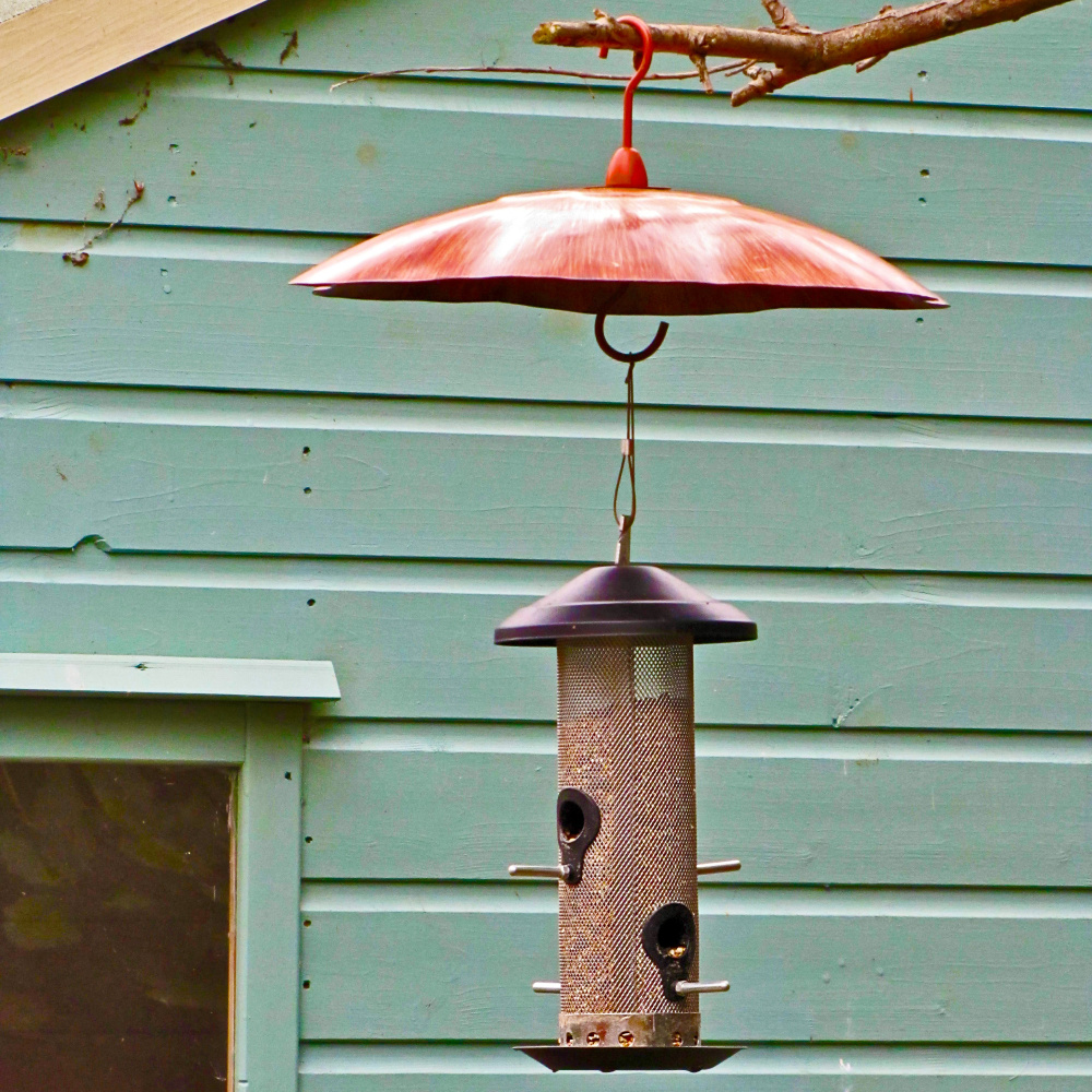 Protection pour écureuils Wildlife World - Image 2