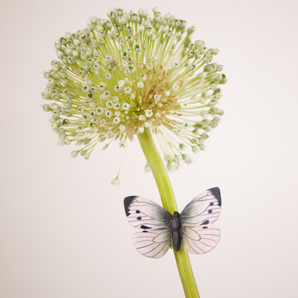 Wildlife Garden magneet - Groot koolwitje - Afbeelding 4