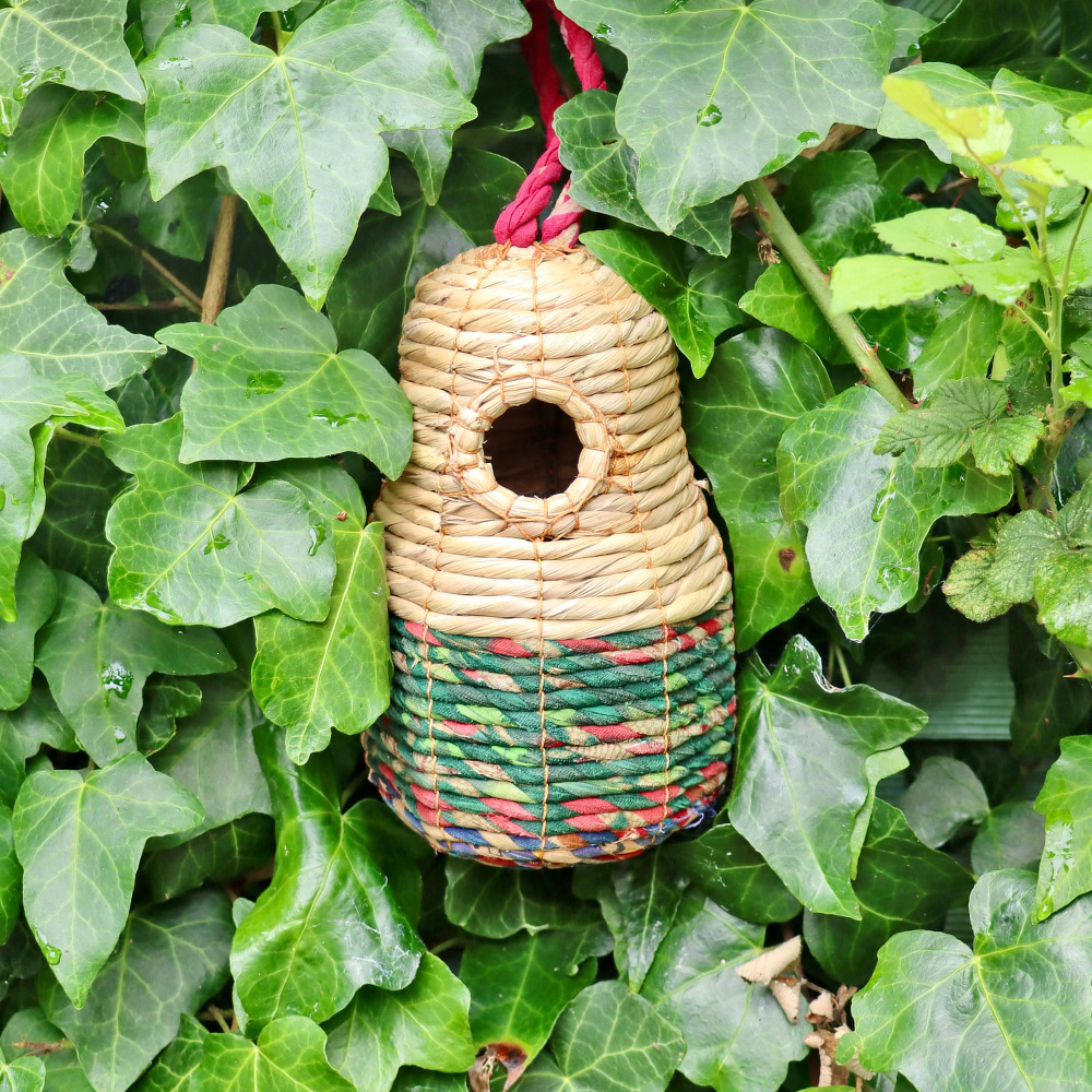 Nichoir artisanal Wildlife World - Sari - Image 3
