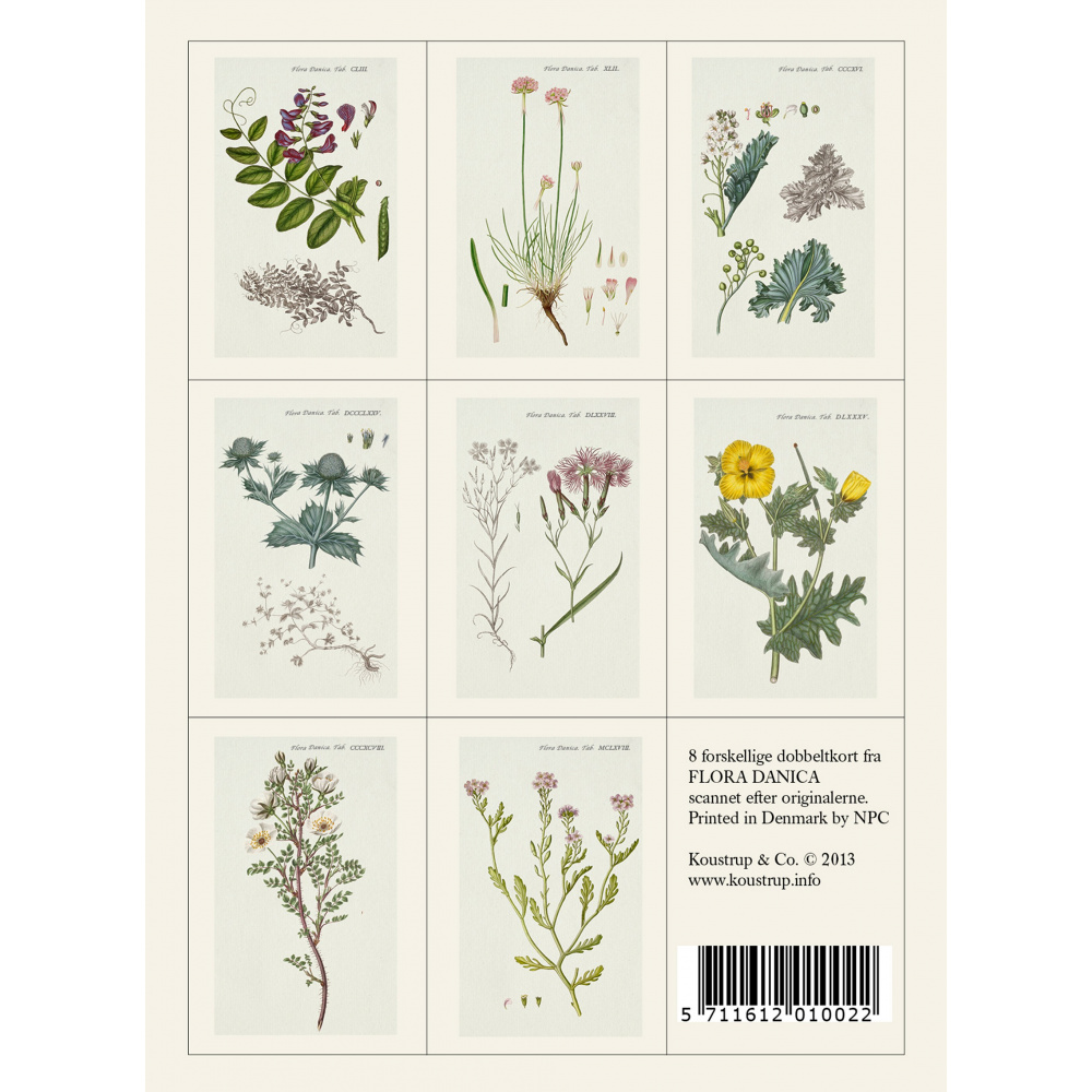 Flora Danica kortmappe - stranden - Billede 2