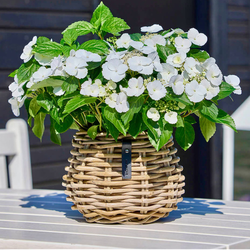 A2 Living rotan bloempot - rond