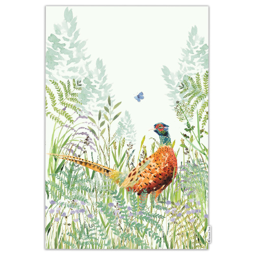 National Trust Bio-Geschirrtuch – Fasan