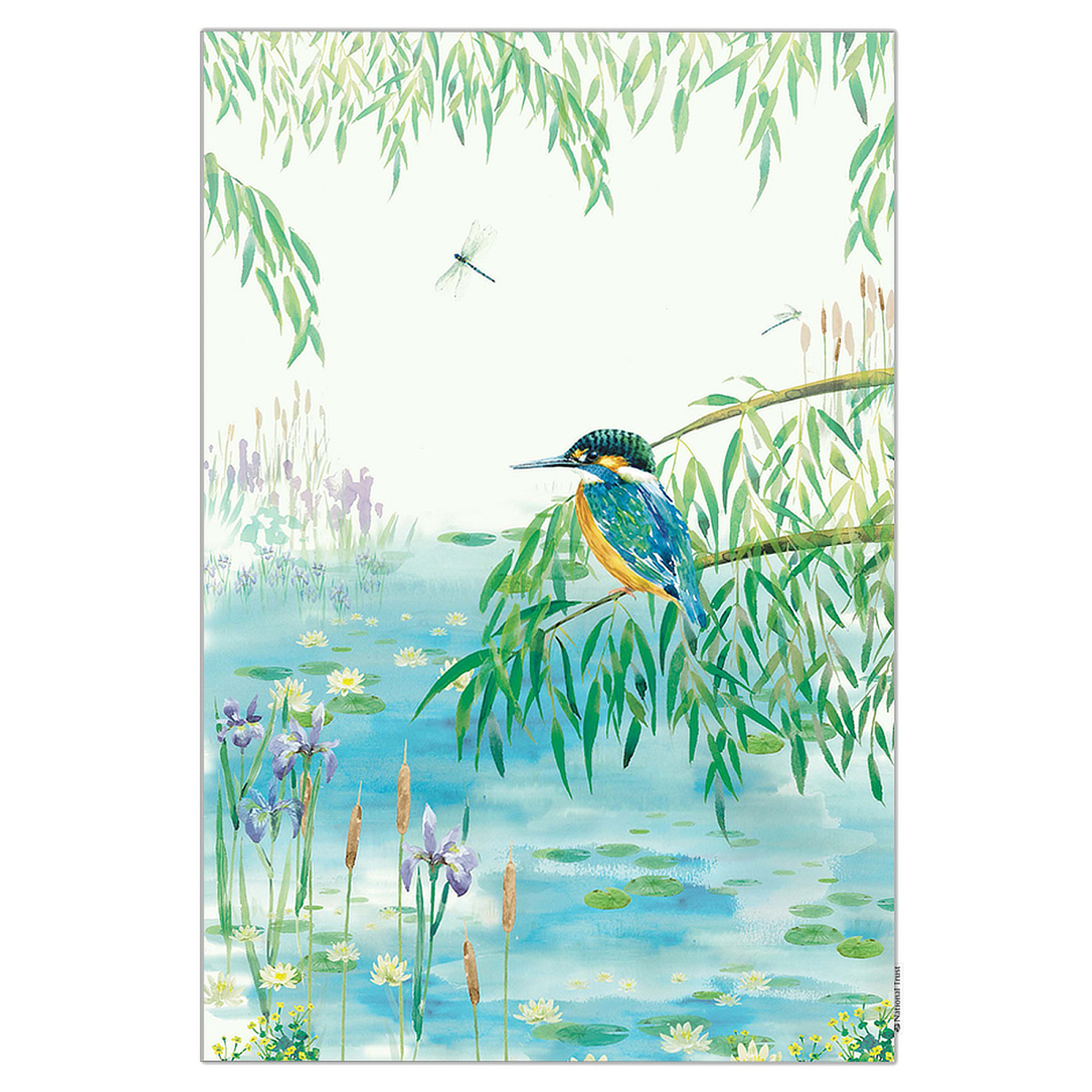 National Trust Bio-Geschirrtuch - Eisvogel