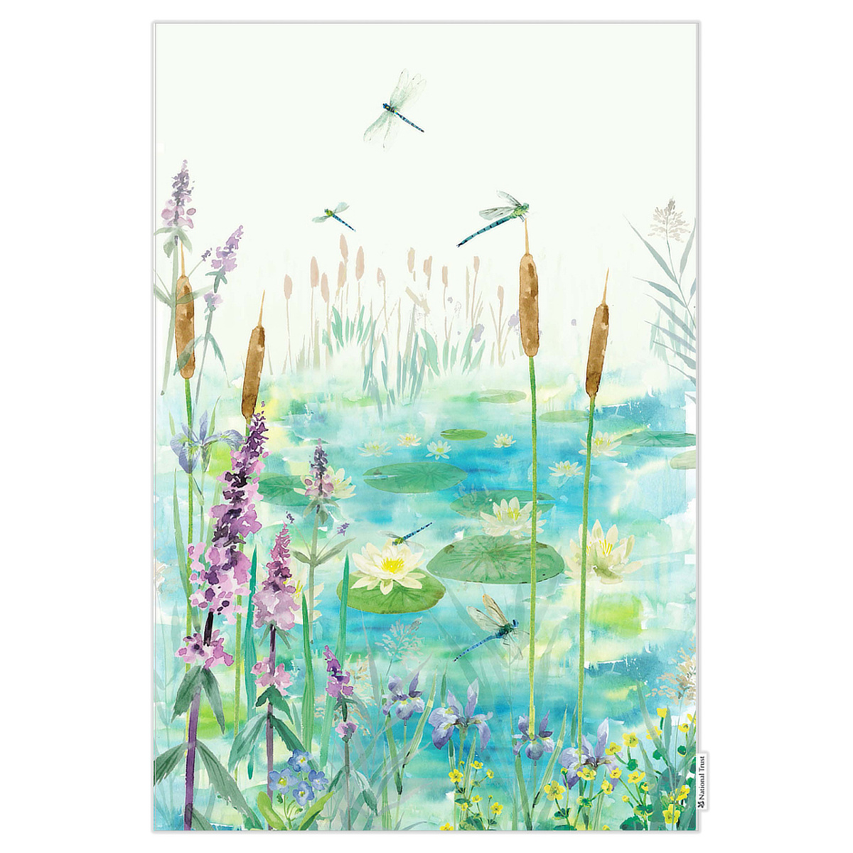 National Trust Bio-Geschirrtuch – Libellen