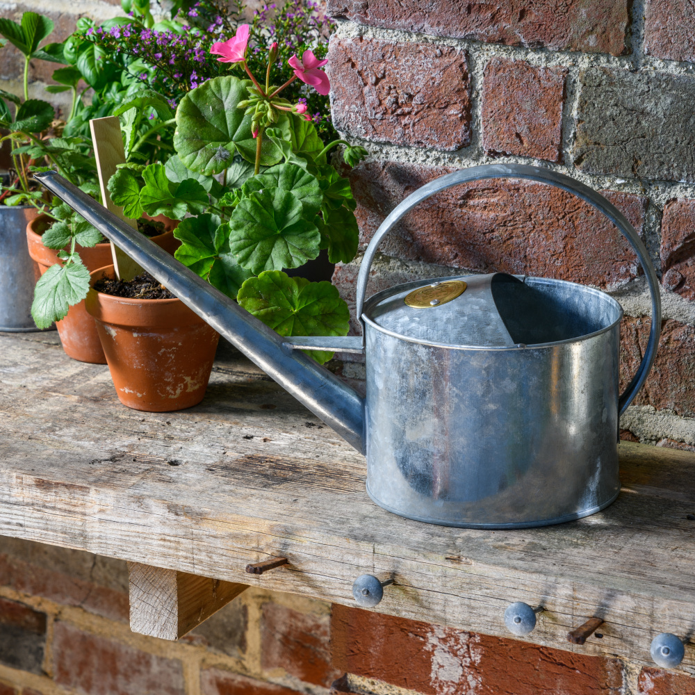 Sophie Conran 1,7 L gieter - zink - Afbeelding 2
