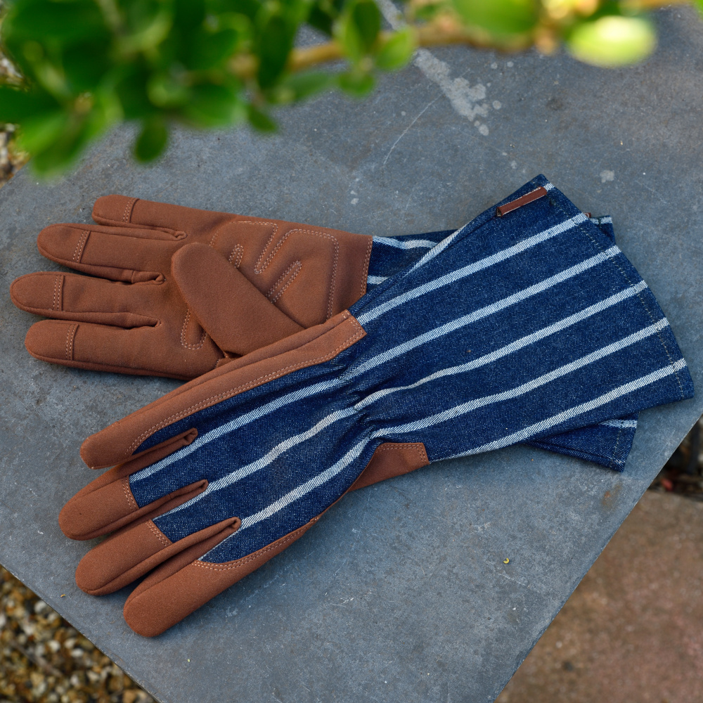 Sophie Conran Gartenhandschuhe, lang - Dunkelblau - Bild 2