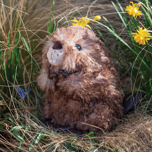 Wrendale knuffel - Bever, 19 cm