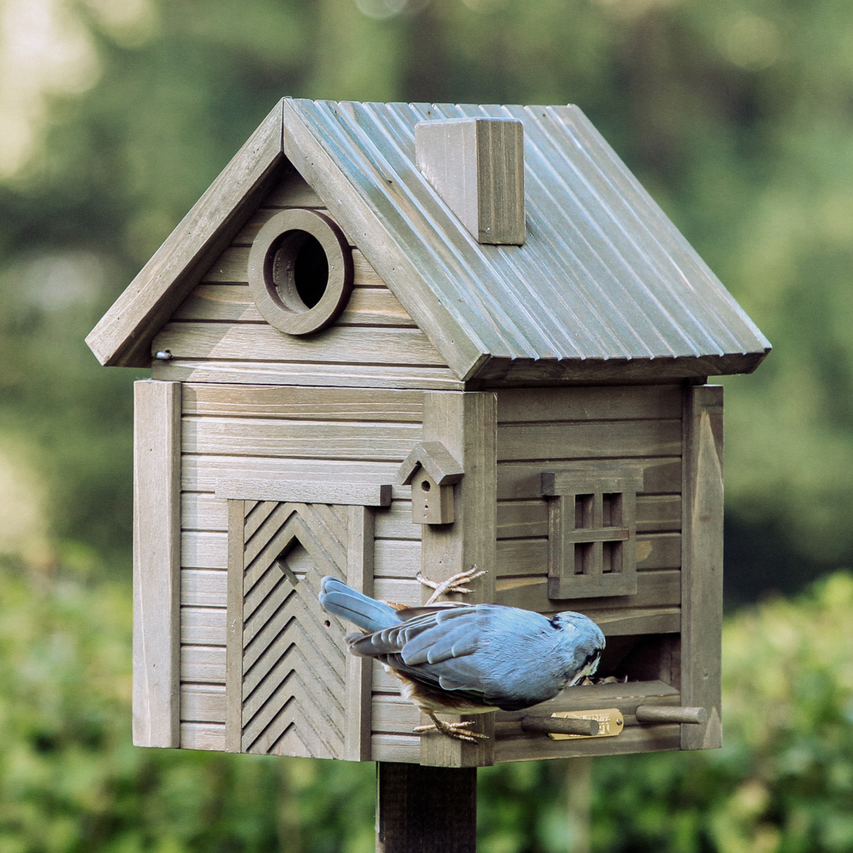 Wildlife Garden Vogelhaus/Futterautomat – Grünes Umbra