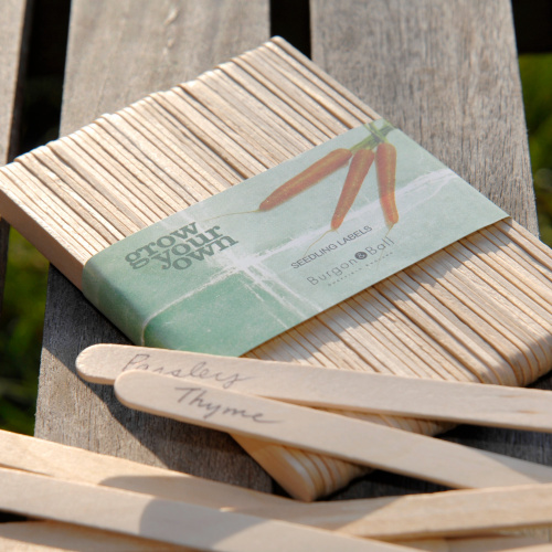 Burgon & Ball kleine Pflanzenetiketten aus Holz, 50 Stk.
