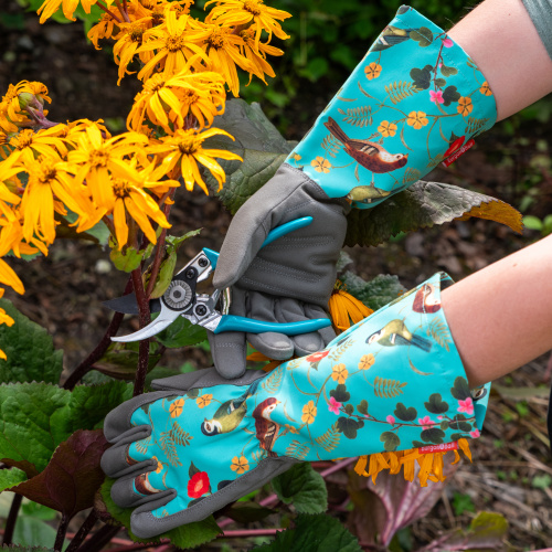 Gants de jardinage longs Burgon & Ball - Oiseaux