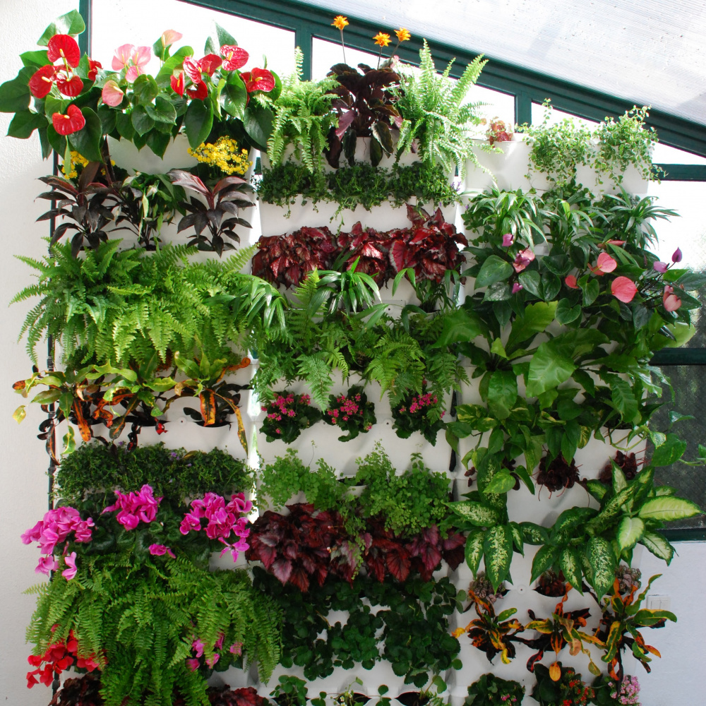 Potager vertical Minigarden - noir - Image 5