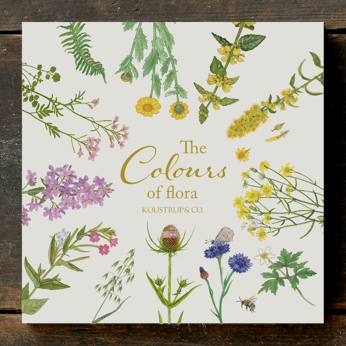 Koustrup & Co. kortmappe - Floraens farver