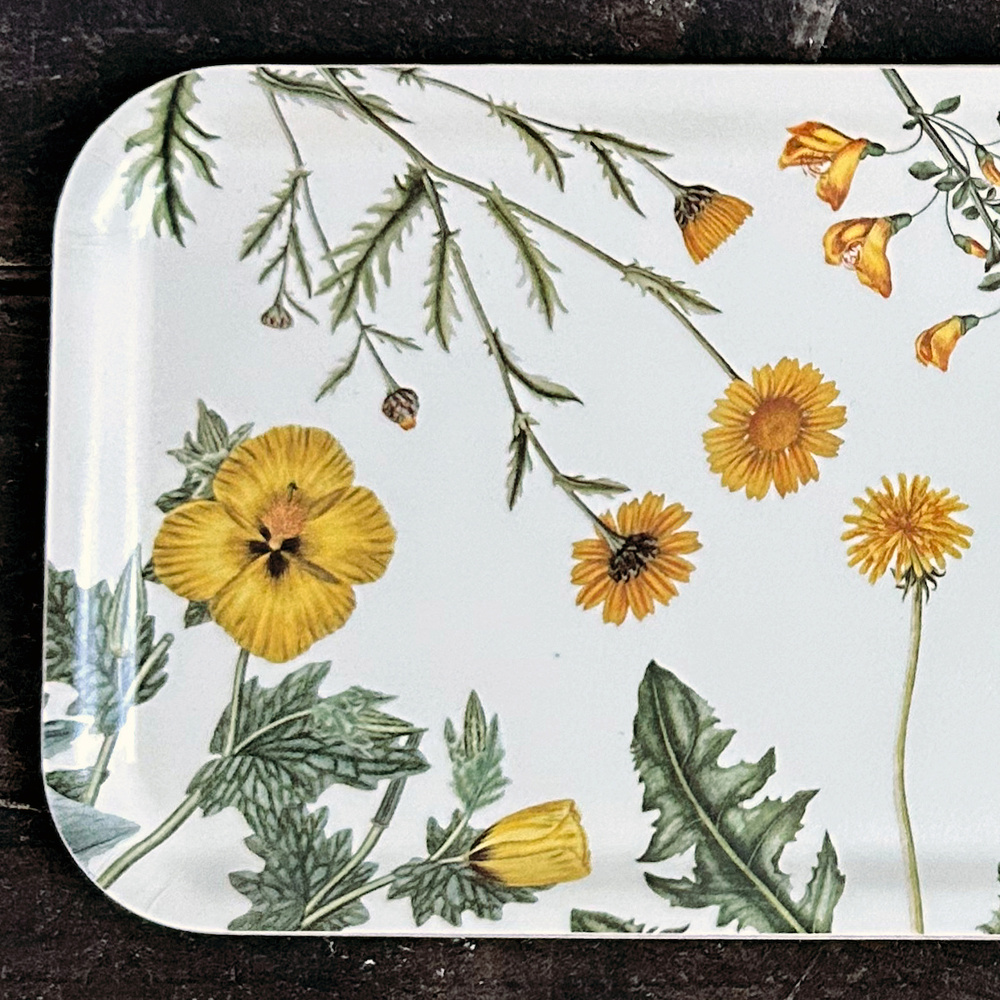 Flora Danica Tablett, 32x15 - Gelbe Blumen - Bild 2
