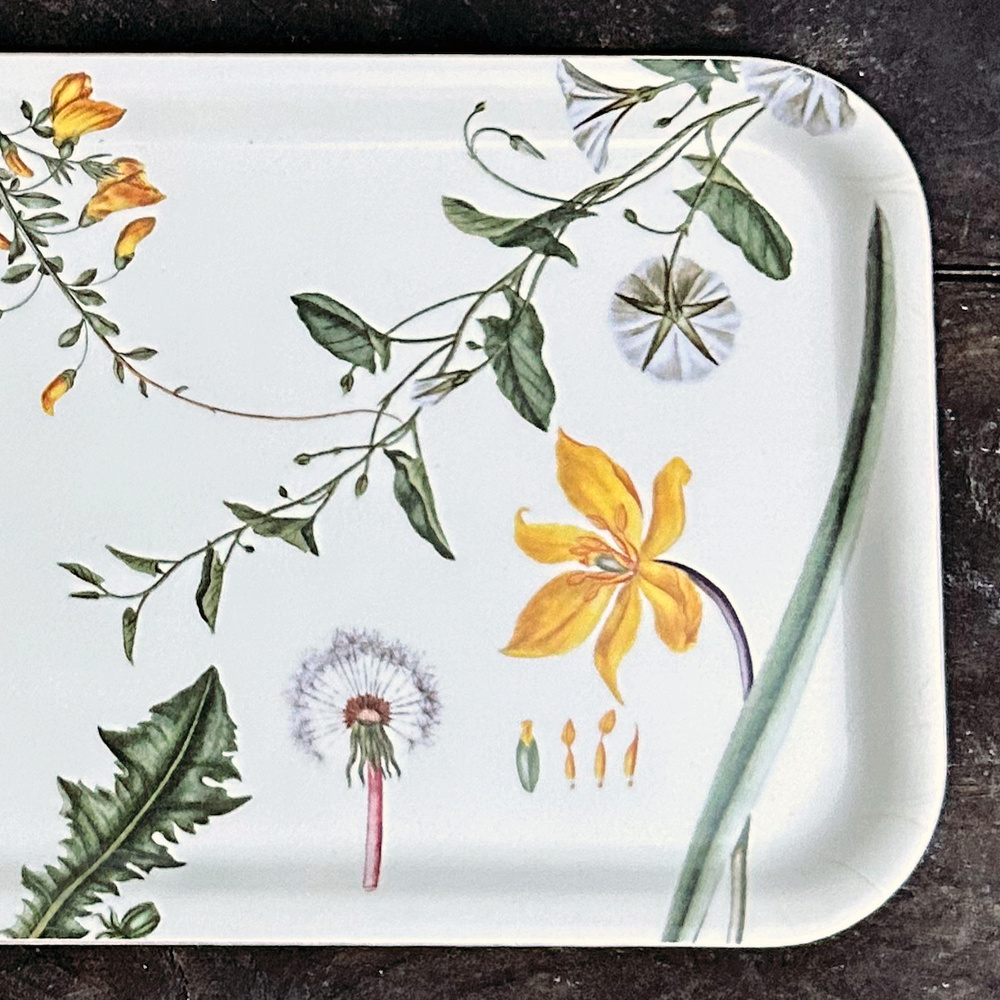 Flora Danica Tablett, 32x15 - Gelbe Blumen - Bild 3