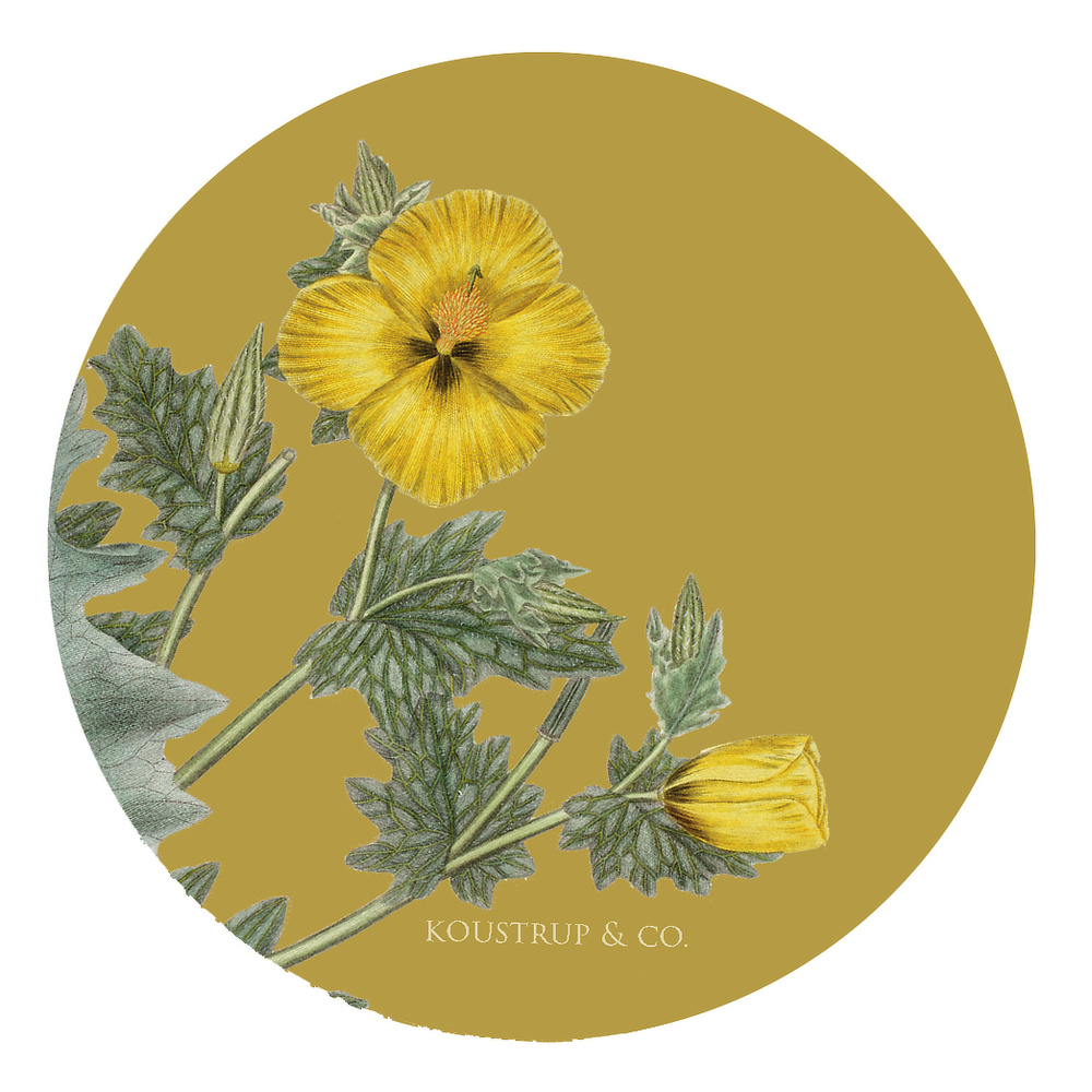 Flora Danica coasters - Yellow flowers - Image 3