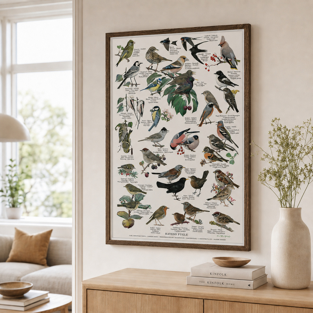 Koustrup affisch - Trädgårdens fåglar, A2 - Bild 2