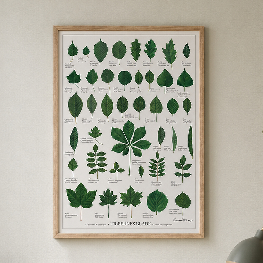 Koustrup affisch - Trädens blad, A2 - Bild 4
