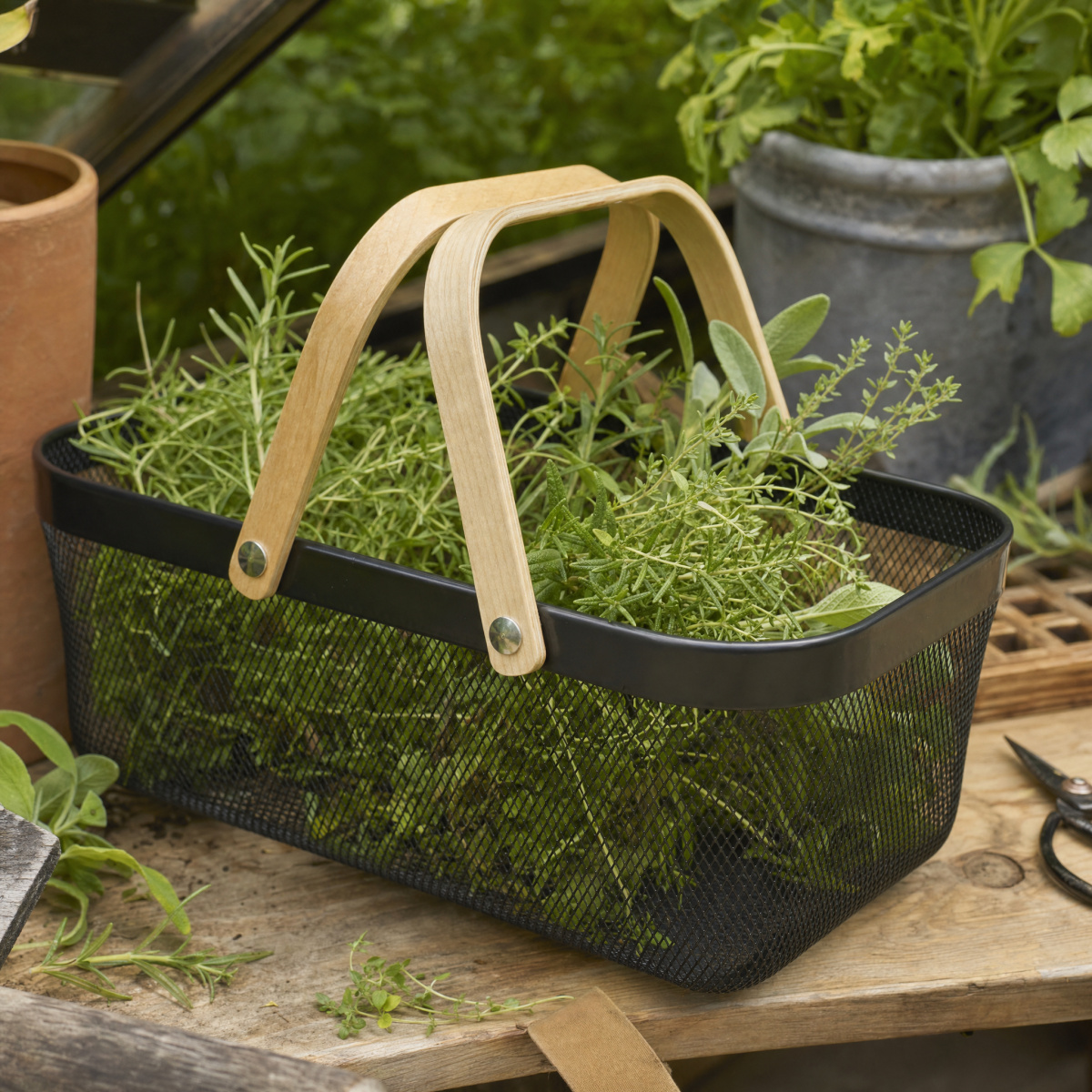 Guillouard mand met hengsel - 16 L