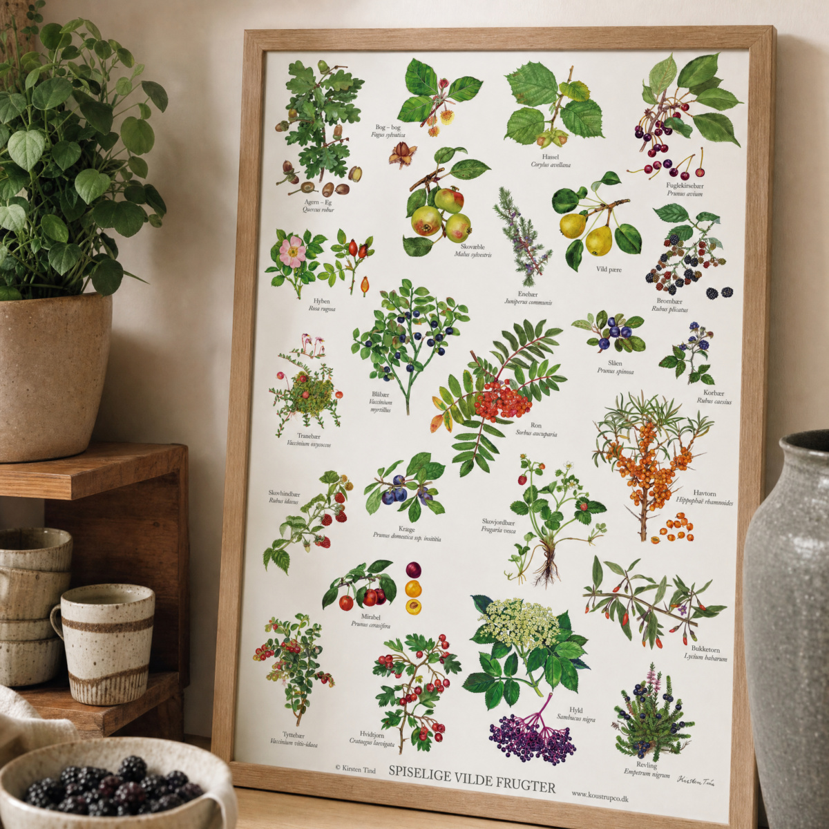 Koustrup Poster – Essbare Wildfrüchte, A2