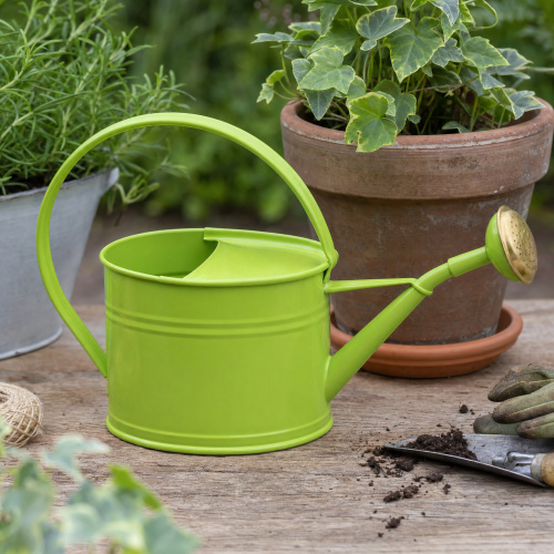 Guillouard  1,75 L gieter - groen