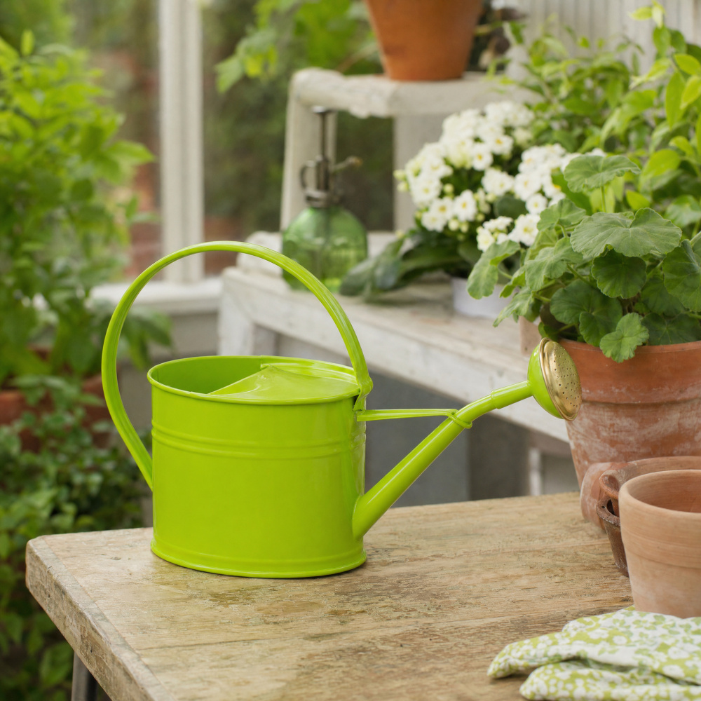 Guillouard 1.75 L watering can - green - Image 3