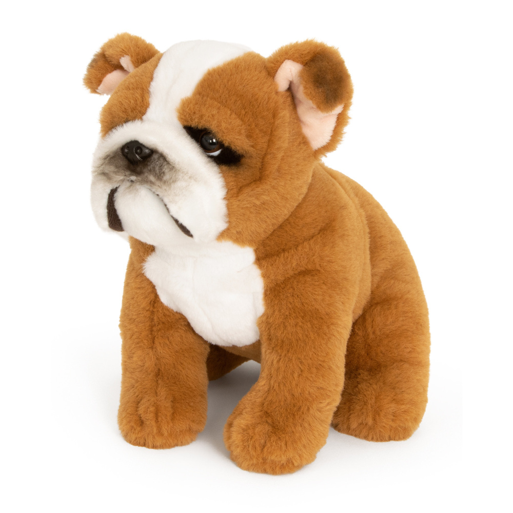 Living Nature bamse - Engelsk bulldog, 24 cm - Billede 3